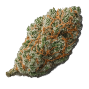 CBD Maracujá