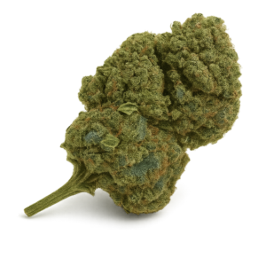 CBD Cannatonics