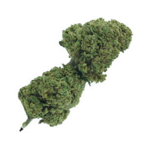 CBD Fruitcake