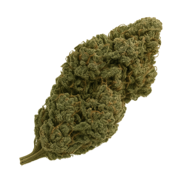 Lemon Haze (Greenhouse)